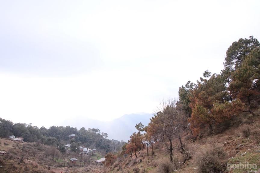 Dlx Stay In Naddi Dharamshala Luaran gambar